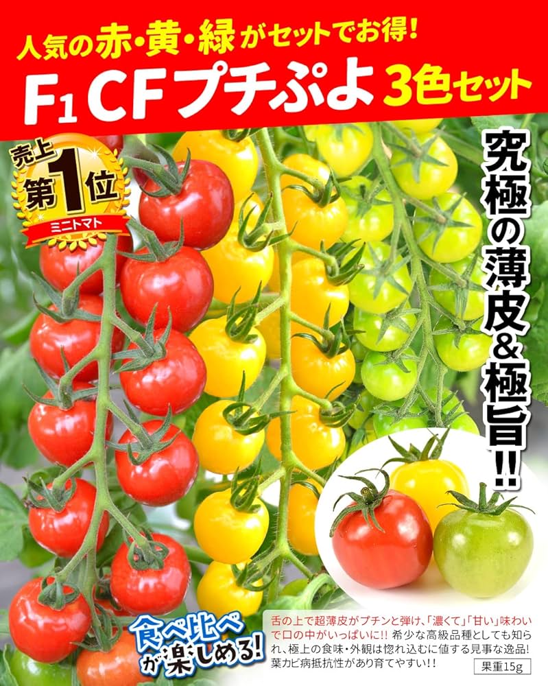 Amazon.co.jp: 種 野菜たね トマト F1CFプチぷよ赤・黄・緑3色